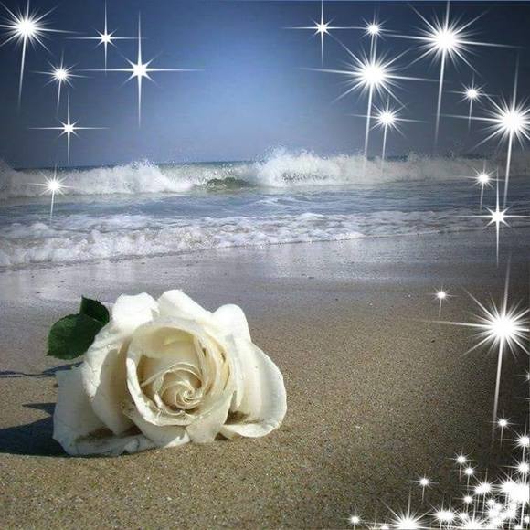 Meet your Posher, Angie - Picture 1 of 1